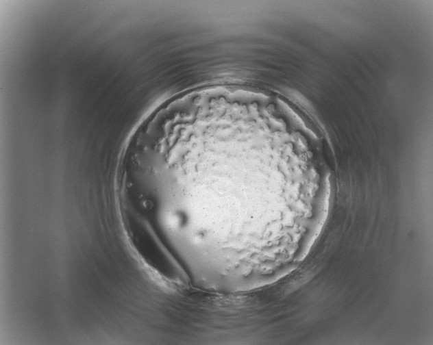 X0000062900859200601271712