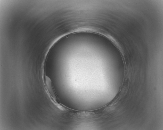 X0000062900862200601271712