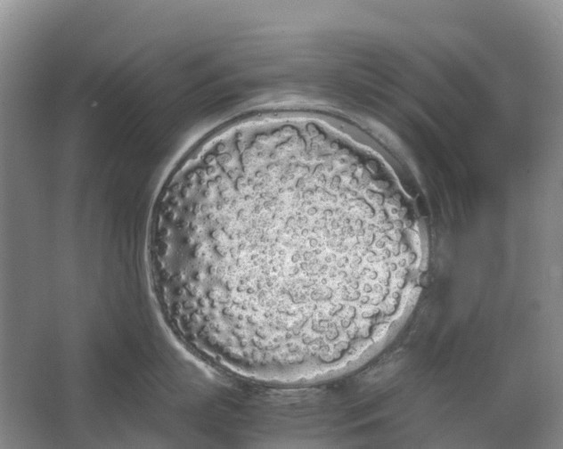 X0000062900863200601271712