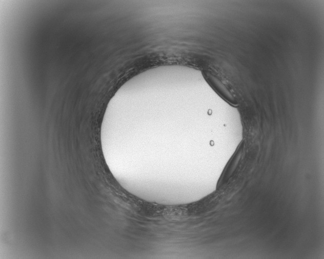 X0000062900865200601271711