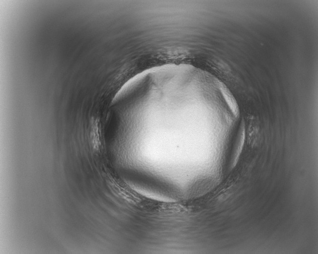 X0000062900866200601271711