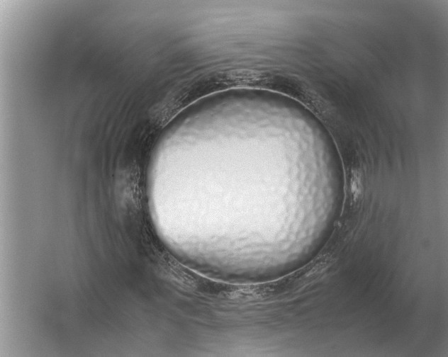 X0000062900867200601271711