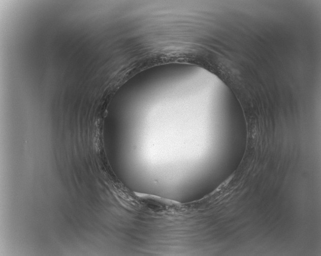 X0000062900868200601271711