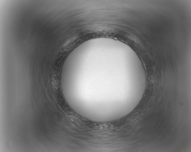 X0000062900869200601271711