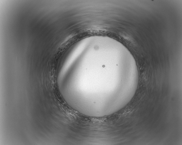 X0000062900870200601271711