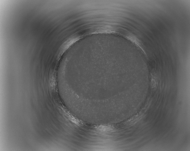 X0000062900874200601271711