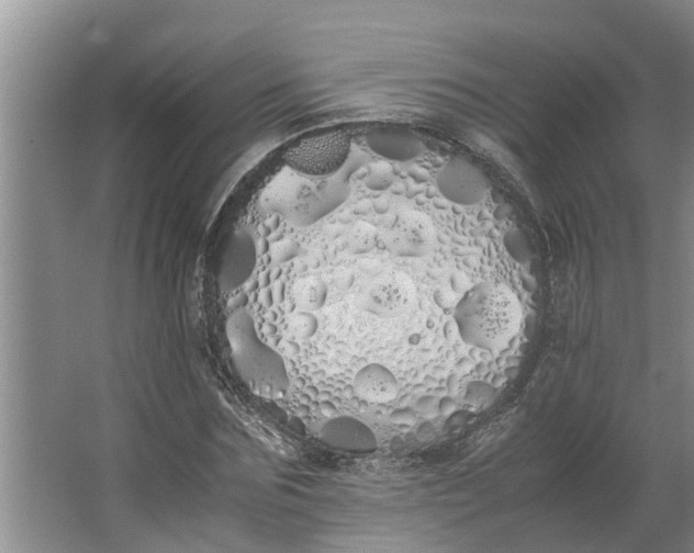 X0000062900875200601271711