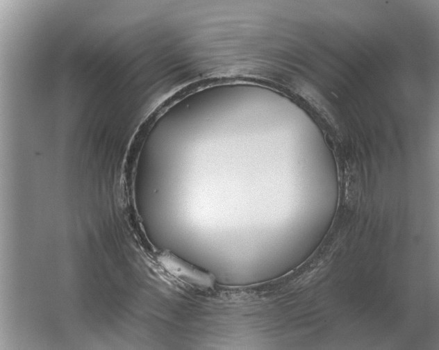 X0000062900876200601271711