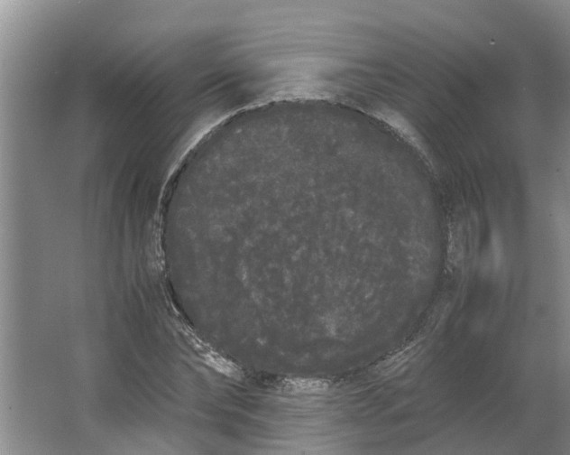 X0000062900878200601271711