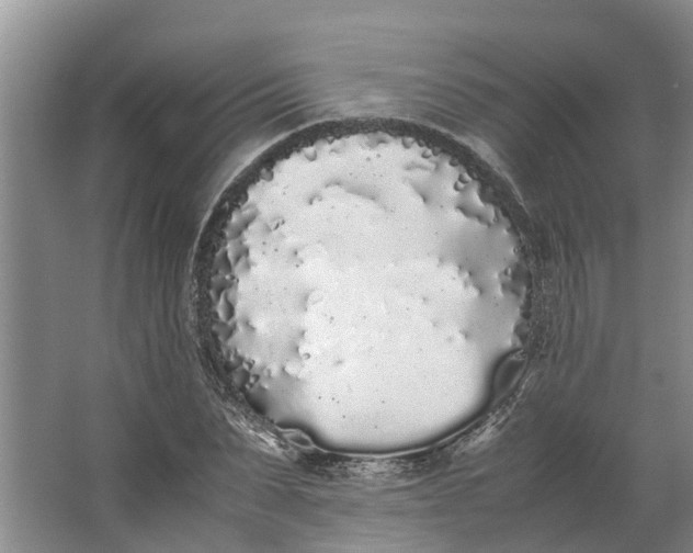 X0000062900879200601271711