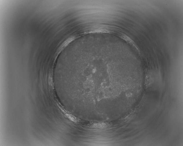 X0000062900882200601271711