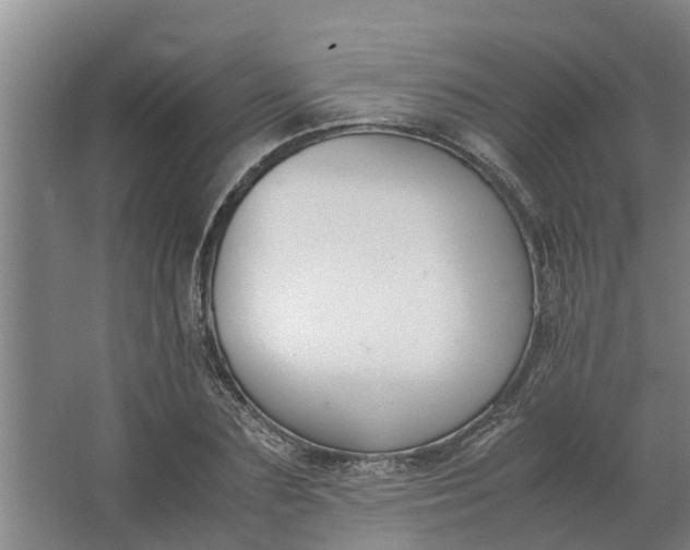 X0000062900883200601271711