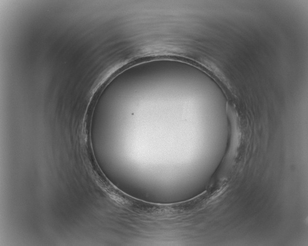 X0000062900885200601271711