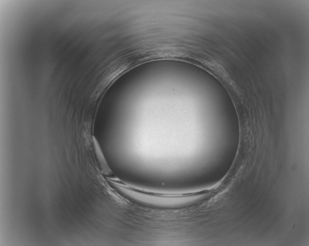 X0000062900889200601271711