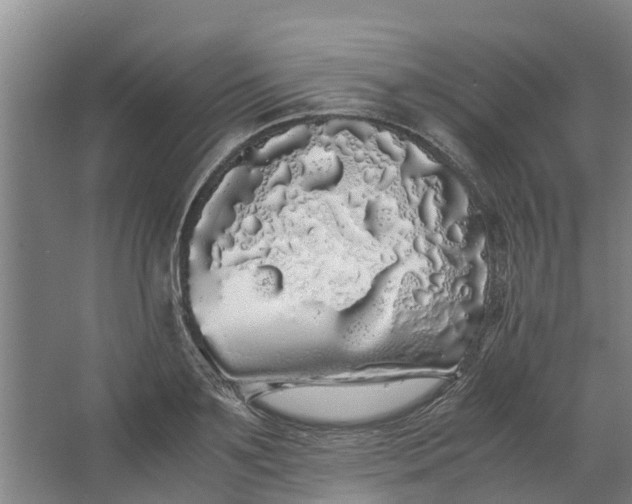 X0000062900891200601271710