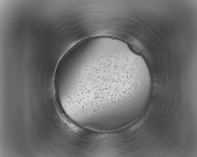 X0000062900892200601271710