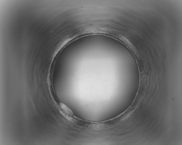 X0000062900893200601271710