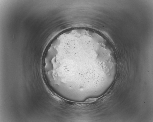 X0000062900895200601271710