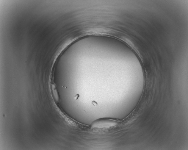 X0000062900901200601271710