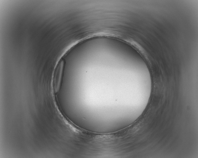 X0000062900902200601271710