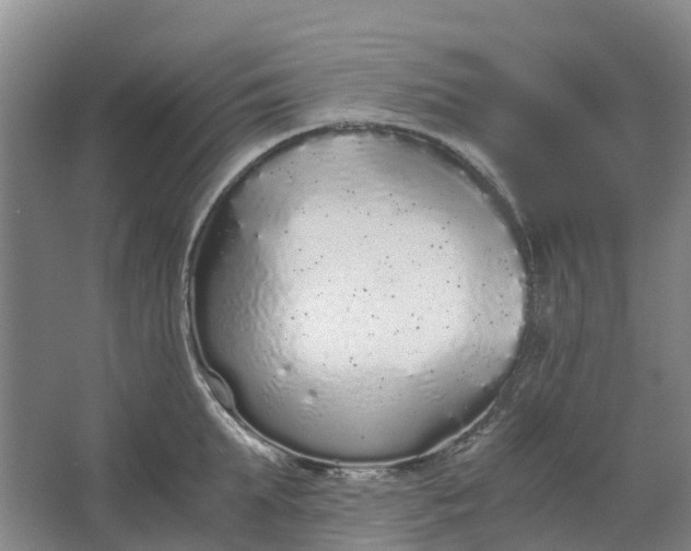 X0000062900903200601271710