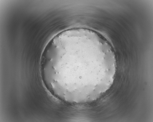 X0000062900911200601271710