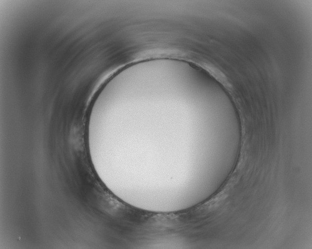 X0000062900912200601271710