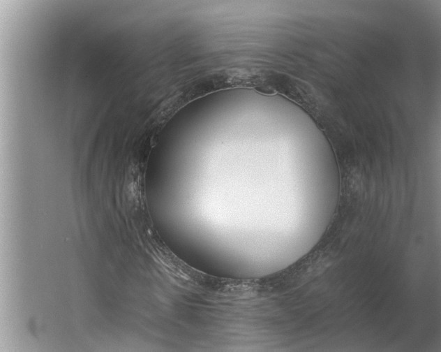 X0000062900914200601271709