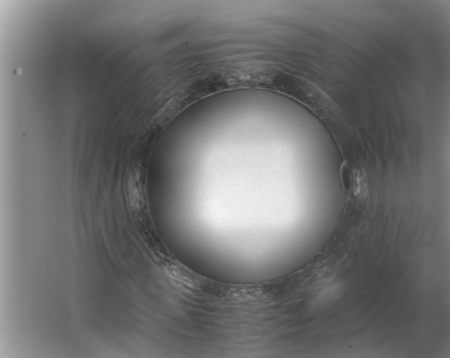 X0000062900915200601271709