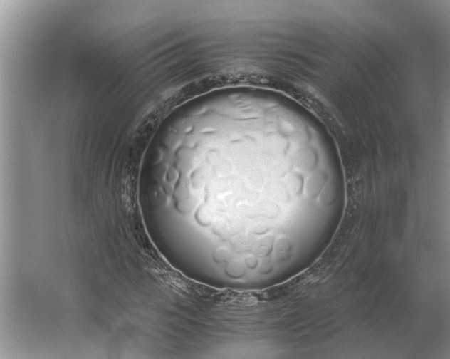 X0000062900919200601271709