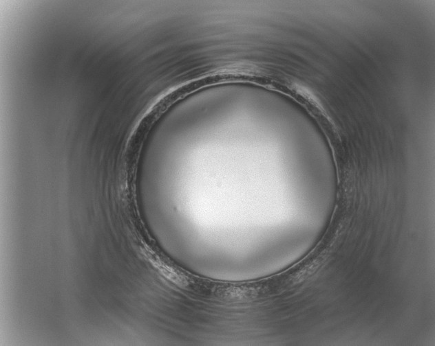 X0000062900923200601271709