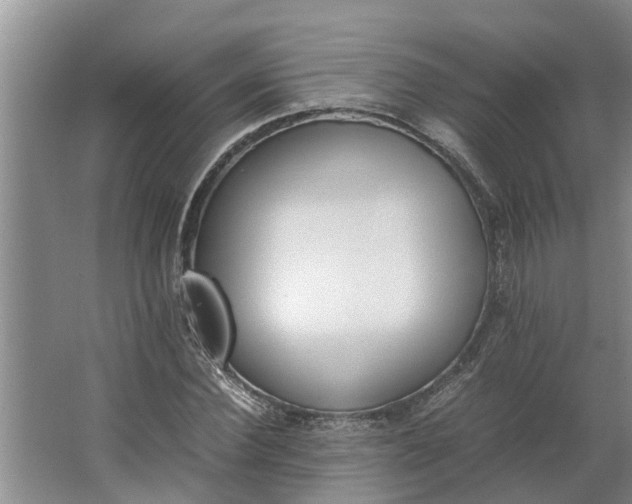 X0000062900924200601271710