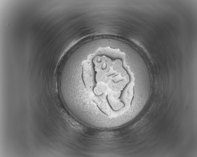 X0000062900925200601271710