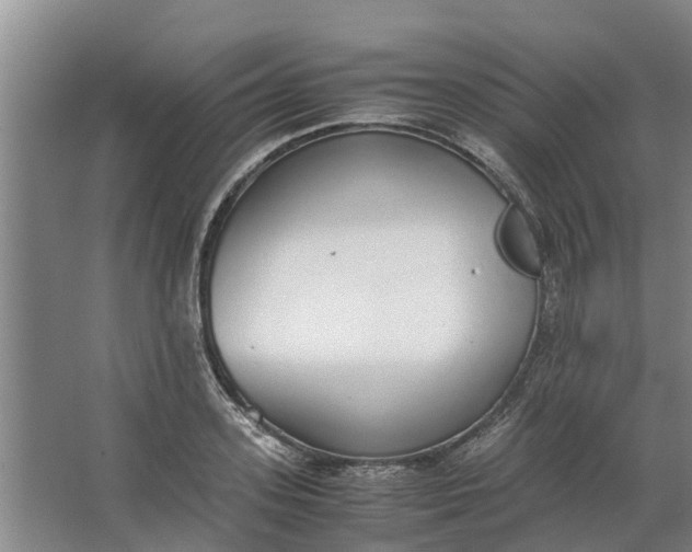 X0000062900939200601271710