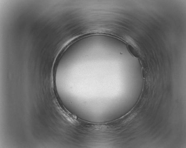 X0000062900940200601271710