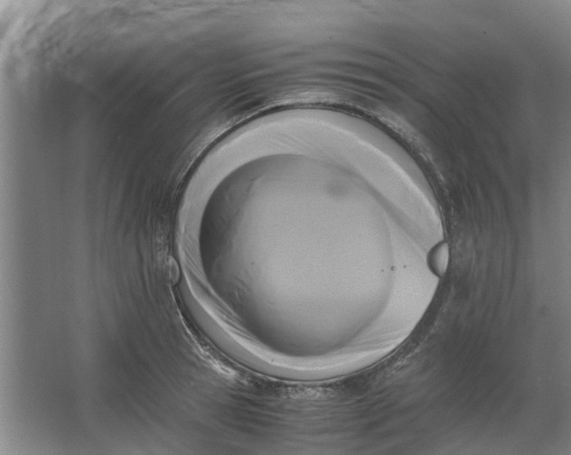 X0000062900945200601271710