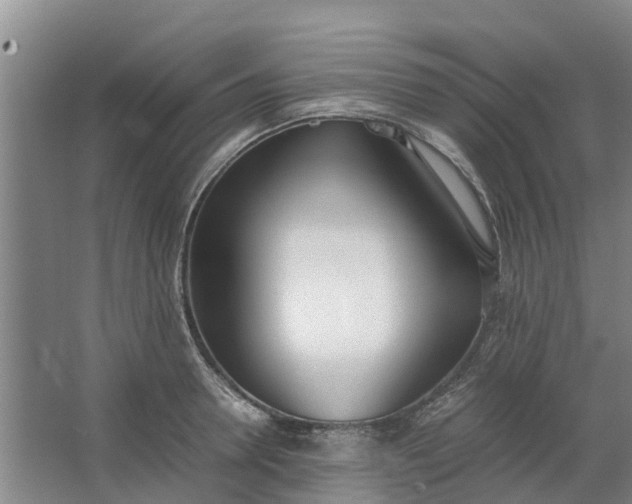 X0000062900946200601271710