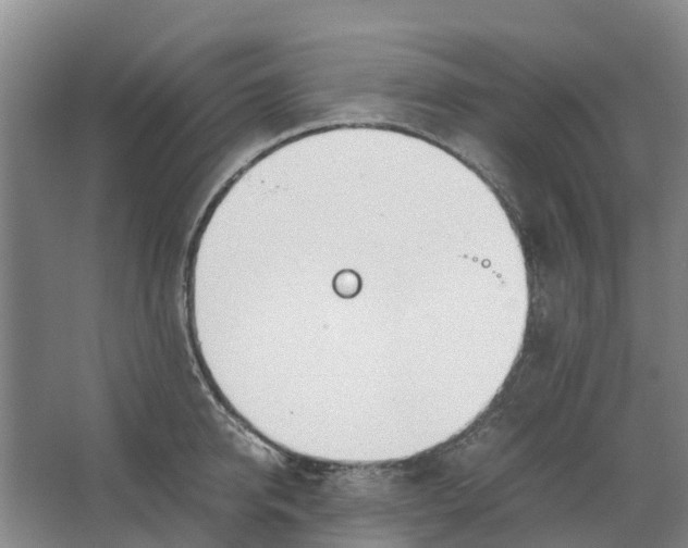 X0000062900950200601271710