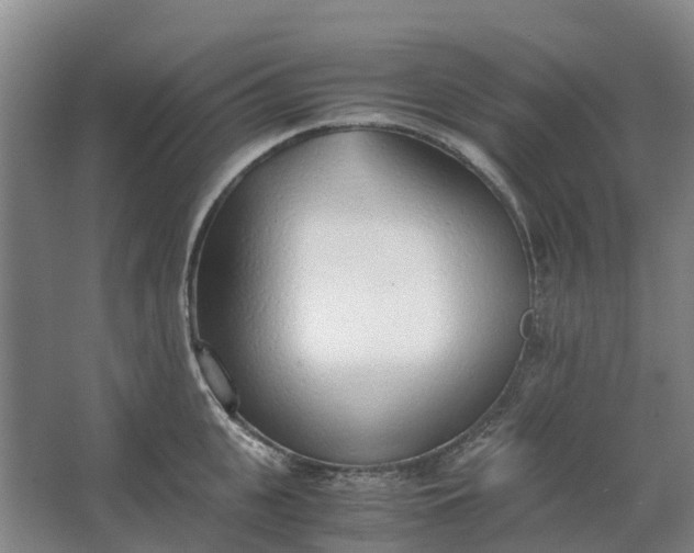 X0000062900951200601271710