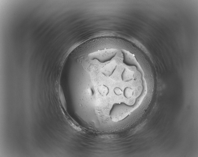 X0000062900953200601271710