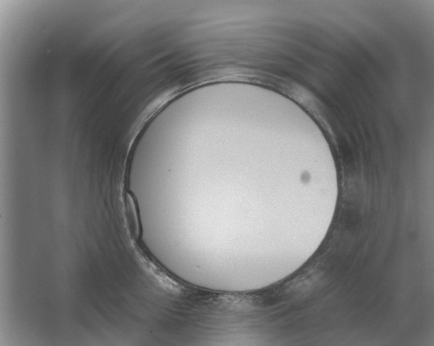 X0000062900954200601271710