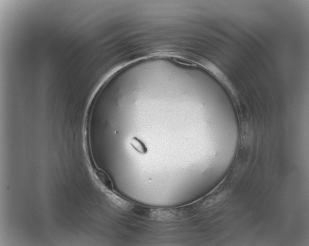 X0000062900955200601271710