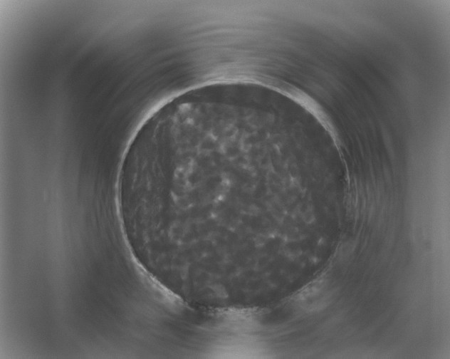 X0000062900958200601271710