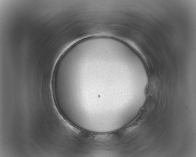 X0000062900959200601271710