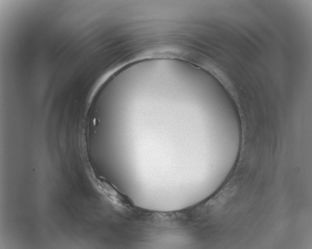 X0000062900960200601271710