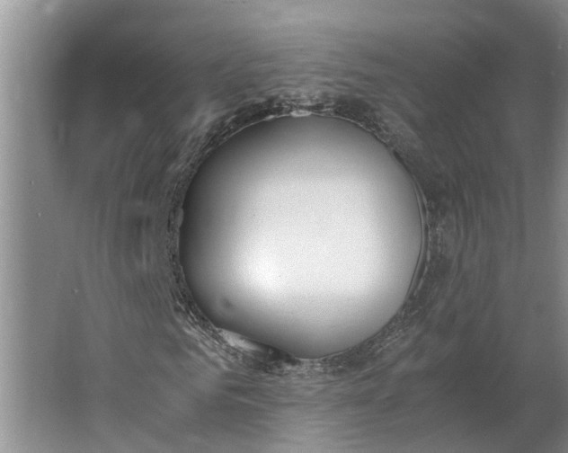 X0000062900961200601271709