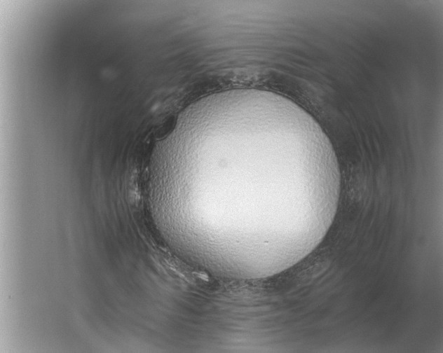 X0000062900962200601271709