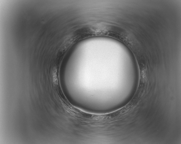 X0000062900963200601271709