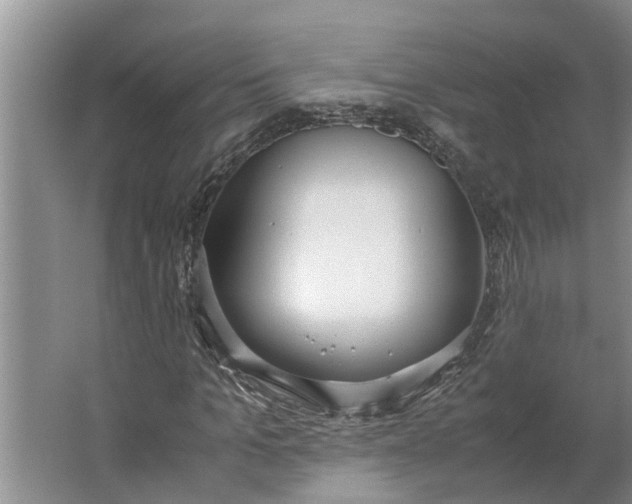 X0000062900965200601271709