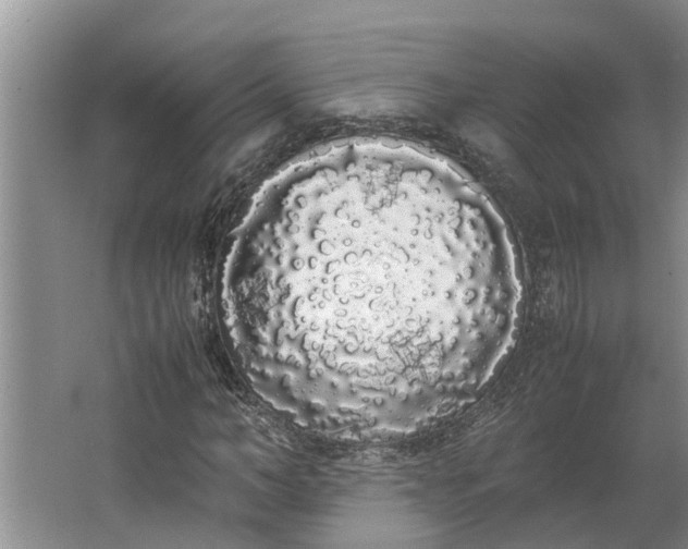 X0000062900966200601271709